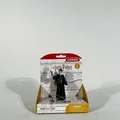 Schleich Wizarding World Harry Potter & Hedwig Spielfigurenset (42633)