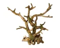 Europet-Bernina Aquariendeko Aquariumdekoration Bonsai ohne Blätter braun