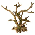 Aqua Della Bonsai Dekoration braun 22x19x20,5cm für Süß- & Salzwasser