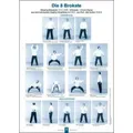Die 8 Brokate Poster Poster mit den charakteristische Haltungen aus den 8 Brokatübungen, Maße: 48 x 68 cm