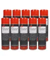 HOHLRAUM SPRAY 10x 500ml mit 60cm Sonde HOHLRAUMSCHUTZ VERSIEGELUNG WACHS