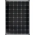 Enjoy solar Sunpower (180 W, 9.10 kg) (23539958)