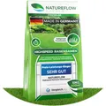 Rasensamen schnellkeimend Frühjahr 10kg 400qm - Schnell wachsender Rasen Germany - Premium Grassamen schnellkeimend - Rasensaat