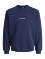 JACK & JONES Jornorrebro Emb Sweat Crew Noos Jnr