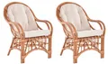 Set/2 Rattansessel Armlehnsessel Wohnzimmer Rattanmöbel (Gestäbt, Terracotta)
