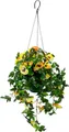 Kunstpflanze Stiefmütterchenhängeampel Stiefmütterchenhängeampel, I.GE.A., Höhe 64 cm