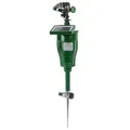 GARDIGO Solar Wasser-Tierabwehr 60085