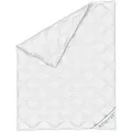 KNERST Microfaserbettdecke Mikrofaserbettdecke Sommerdecke Ganzjahresdecke 135x200, 155x220, uvm, Füllung: Klimafaser-Polyesterfüllung, Bezug: Polyester, Allergikerfreundlich, atmungsaktiv, temperaturausgleichend 155 cm x 220 cm