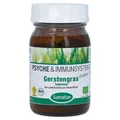 Gerstengras 400 mg Tabletten 250 St