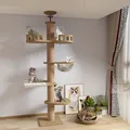 Kratzbaum deckenspanner,Raumkapsel,Katzenhängematte, Vollständig mit Sisalsei...