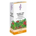 2x BLASEN UND Nierentee Bombastus 75 G