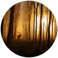 K&L Wall Art Vliestapete "Runde Vliestapete", Hisch Wald Waldtiere Tiere, mehrfarbig, matt - bunt