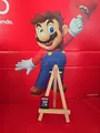 The Legend of Zelda: Echoes of Wisdom Nintendo Switch Spiel (nur Modul)