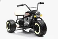 Elektro Kindermotorrad 2x800W Brushless Motoren – 24V7A – Schwarz