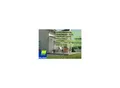 Palram Canopia Feria Terrassenüberdachung anthrazit 546x295x260-305 in cm (LxBxH)