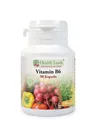 HEALTH LEADS VITAMIN B6 (PYRIDOXINE) 100MG X 90 KAPSELN