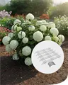 bellissa – Rankhilfe-Set Andybelle – 3 Rankgitter je 73x70cm inkl. 6 Verbinder – Modulare Pflanzenstütze aus Metall-Spalier für Kletterpflanzen, Gemüse & Blumen