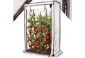 Arebos Tomatengewächshaus Treibhaus Frühbeet Foliengewächshaus, BxTxH: 100 x 50 x 150 cm, Ganzjähriger Schutz für Ihre Pflanzen