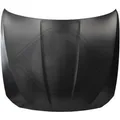 1225001 Motorhaube für BMW 5 (F10)