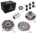 Moretti-Variator (Durchmesser 13 mm) für Falcon-Scooter