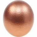 Straußenei Kupfer Deko Ei Ausgeblasen Osterdeko 12cm