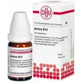 Arnica D12 Globuli DHU