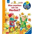 Was machen wir im Herbst? / Wieso? Weshalb? Warum? Junior Bd. 61