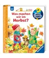 Wieso? Weshalb? Warum? junior, Band 61: Was machen wir im Herbst?, Andrea Erne