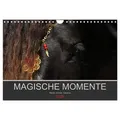 Magische Momente - Pferde Horses Caballos (Wandkalender 2026 DIN A4 quer) CALVENDO Monatskalender von Petra Eckerl Tierfotografie www.petraeckerl.com/