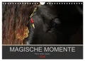 Petra Eckerl Tierfotografie Www. Petraeckerl. Com | Magische Momente - Pferde...