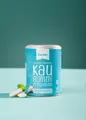Xylit-Kaugummis Freshmint Dose, 100g (54,90 EUR/kg)