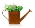 Blümelhuber Edelrost Gartendeko Gießkanne Vintage - Rost Deko Gießkanne Metall zum Bepflanzen - Giesskanne Metall Deko für Garten - Gießkanne aus Metall als Balkon Dekoration, Terrasse oder Vorgarten