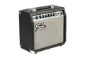 FAME Verstärker (E-Gitarren Verstärker, 15 Watt Combo, Kopfhöreranschluss)
