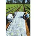Gartenvlies Schutzvlies 1,6 x 100m Pflanzvlies zur Abdeckung von Gemüsebeeten weiß ca. 21 g/m2 - Weiß