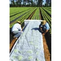 Gartenvlies 1,6x100m Pflanzvlies weiß zur Abdeckung von Gemüsebeeten ca. 21 g/m²