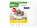 Asbest Test Staub