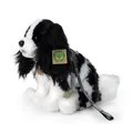 Cavalier King Charles Spaniel HUND Plüschtier Stofftier Kuscheltier Plüsch