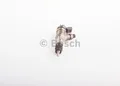 BOSCH 0445120002 Einspritzdüse