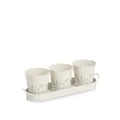 Zeller Kräutertopf-Set "Flowers" 4-tlg. Metall
