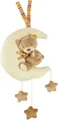 Fehn Spieluhr Rainbow, Teddy im Mond