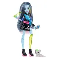 Monster High Frankie Puppe (JHK31)