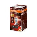 1x OSRAM NIGHT BREAKER® 220 H11 GLÜHLAMPE 12V PGJ19-2 | 64211NB220