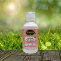 FangGold Lachsöl High Quality 1.000 ml