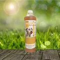 Fazoo Olio Vivo Active 1.000 ml