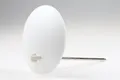 ELINCHROM Deflector