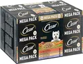 Cesar Megapack Landragout - Hundenassfutter in der Schale - 4 Varietäten im Multipack - 24 x 150g