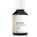 ZINZINO BalanceOil+ Orange Zitrone Minze 100 ml – Reisegröße