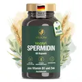 VITACTIV Spermidin Kapseln Hochdosiert - 60 Stk - 833mg Weizenkeimextrakt, 1,5 mg Weizenkeim Spermidin - Zink für Zellteilung & Zellschutz, Vitamin B1 für Herzfunktion - Vegan, Herstellung in DE
