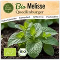 Little Plants BIO Melisse Samen 150 Quedlinburger Melissesamen Kräutersamen Samenfest für Kräutergarten Kräuter Samen für Balkon, Hochbeet und Garten