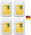 (4,95€/l)  20 Liter Cameo HEAVY FLUID Nebelfluid - sehr hohe Dichte & Standzeit